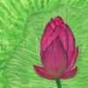 A pink lotus bud is in the foreground. The background shows green lotus leaves with wavy radiating lines